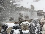 輪播圖片