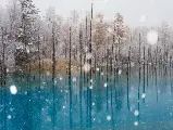 輪播圖片