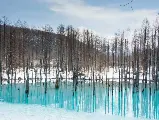 輪播圖片