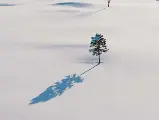 輪播圖片