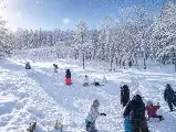 輪播圖片