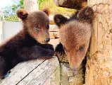 輪播圖片