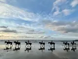 輪播圖片
