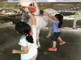 輪播圖片
