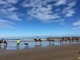 輪播圖片