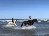 輪播圖片