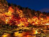 輪播圖片