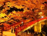 輪播圖片