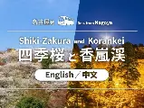 輪播圖片