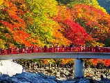 輪播圖片