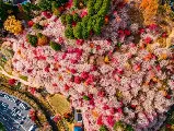 輪播圖片
