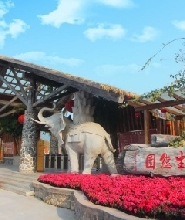 佛山高明盈香生態園花田小火車