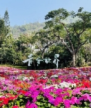 深圳青青世界門票