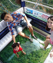 香港大嶼山昂坪360纜車全景車廂