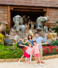 香港馬灣挪亞方舟門票