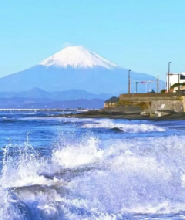 東京鐮倉（贈送江之電體驗）