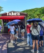 韓國草泥馬(羊駝)牧場+南怡島一日遊