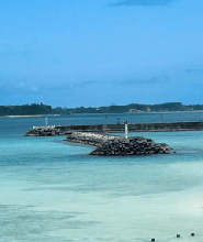 沖繩北部經典一日遊（萬座毛+古宇利島+海洋博公園+美麗海水族館）
