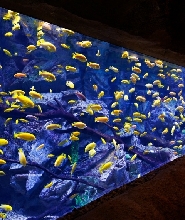 珠海長隆飛船樂園+橫琴長隆劇院長隆秀雙園套票