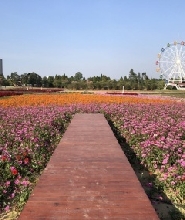 佛山夢裏水鄉百花園