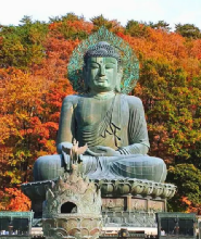 首爾出發| 江原道雪嶽山＋洛山寺經典一日遊