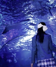 杭州江和美海洋公園門票