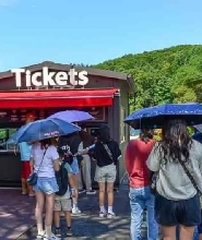 韓國羊駝牧場 + 江村鐵道自行車 + 大明維瓦爾第公園體驗