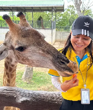 泰國大城獅子王動物園門票