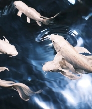 韓國首爾COEX水族館——打卡李鐘碩同款
