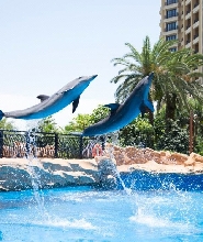 珠海長隆橫琴灣酒店3天2晚三人套票(酒店+海洋王國+飛船樂園+長隆秀+自助晚餐)