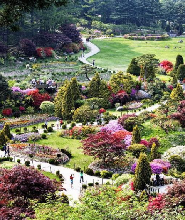京畿道晨靜樹木園