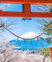 醇境富士&森之蒸餾所&三得利威士忌品酒一日遊