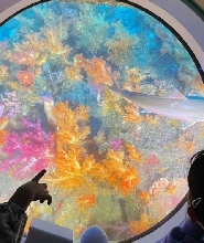 濟州島西歸浦潛水艇