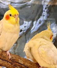 ZoolungZoolung室內動物園 慶州市 普門店