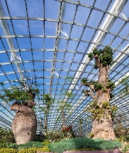 新加坡濱海灣公園花穹+雲霧館門票