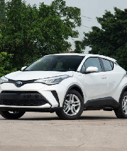 新加坡-馬來西亞新山市區單程點對點包車服務(中途不停)