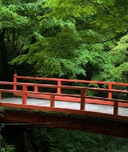 京都C線嵐山+三千院一日遊(不含小火車車票)