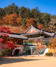 首爾出發 | 2025年韓國五臺山國立公園 賞楓一日遊 (韓劇<鬼怪>拍攝地)