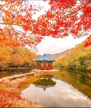 釜山出發 | 2025年韓國內藏山賞楓一日遊（每日發車）