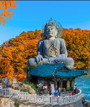 首爾出發 | 2025年韓國雪嶽山賞楓一日遊（每日發車，1人即可出行）