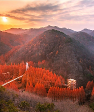 首爾出發 | 2025年韓國長泰山賞楓+足浴一日遊
