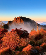 釜山出發 | 2025年韓國全羅北道智異山賞楓一日遊