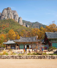 釜山出發 | 2025年韓國周王山賞楓一日遊