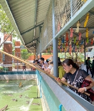 芭堤雅璟泰莊園 清邁小鎮
