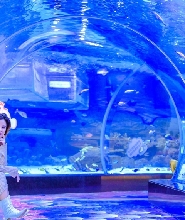 夏日避暑地——順德南宏海洋公園
