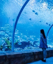 佛山南海海洋親子樂園