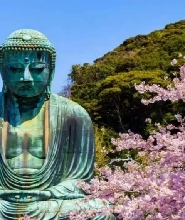 東京鐮倉精品小團一日遊