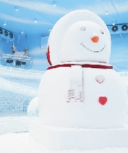 夏日避暑——廣州正佳企鵝冰雪世界