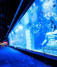 廣州正佳極地海洋世界