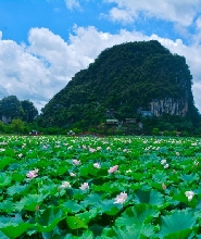 清遠峰林曉鎮